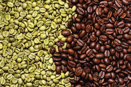 Coffee Holding Company reveals US tariff impact