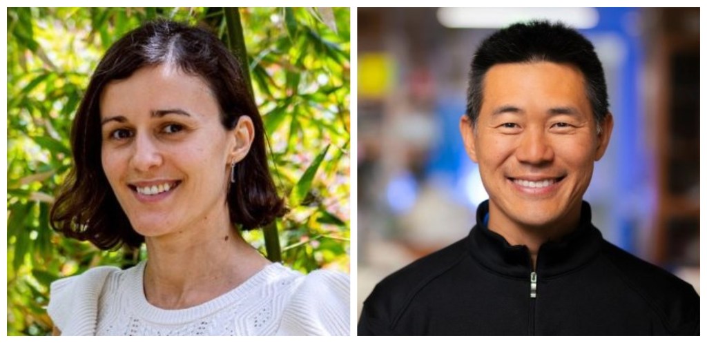 UCSD researchers home in on treatment target for aggressive breast cancer