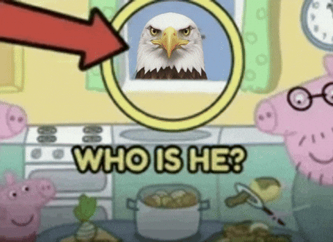 Who Is He? - Who Is He Eagle Meme