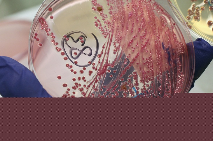 AI gives us 16 new viruses