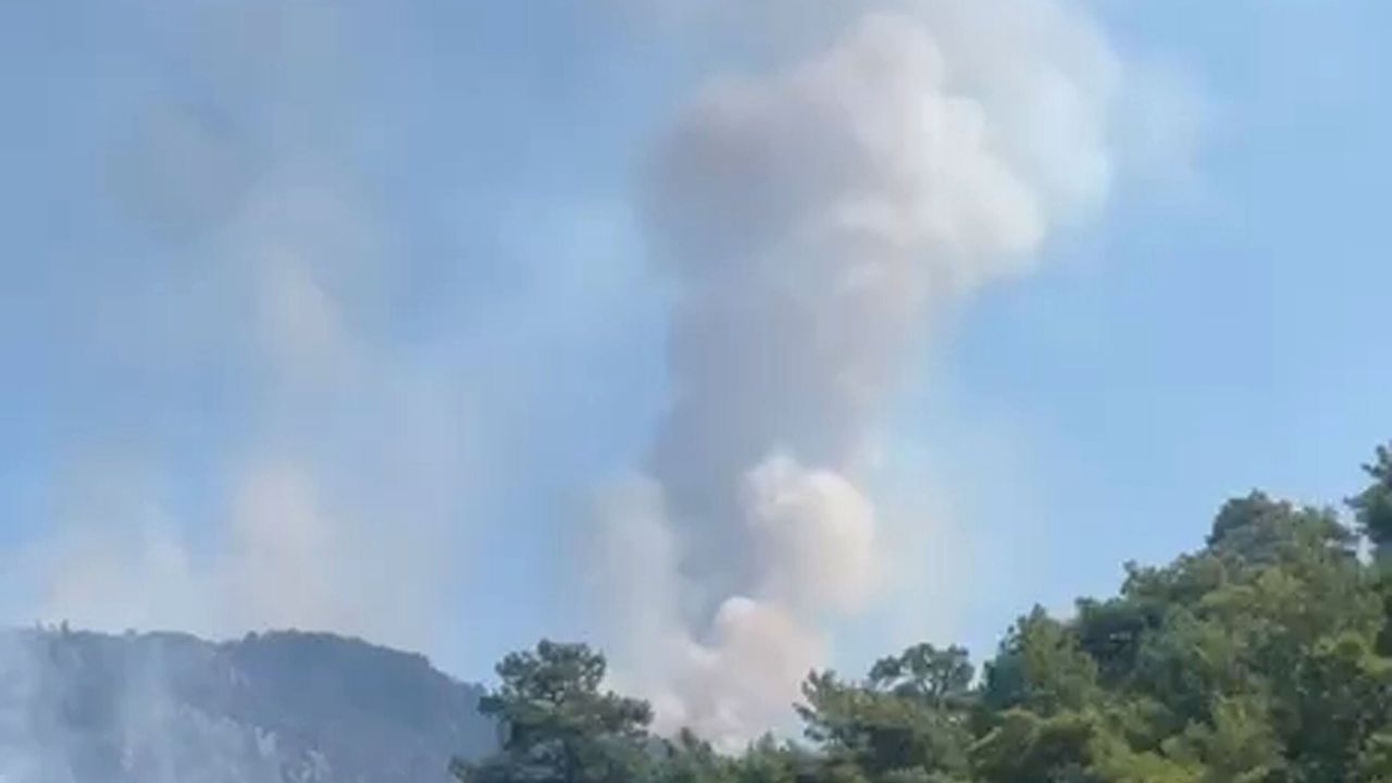 Antalya'daki orman yangınına müdahale ikinci günde de sürüyor (3)