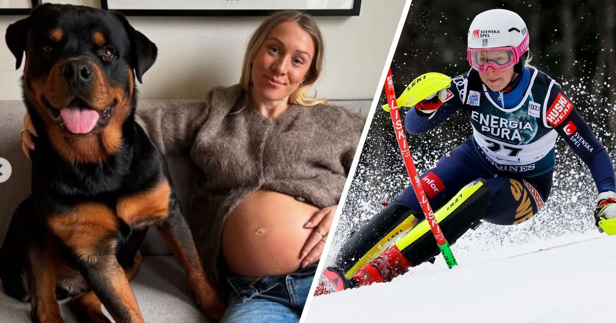 Ehemaliges Ski-Ass zeigt stolz seinen Baby-Bauch: „Kann es kaum erwarten“
