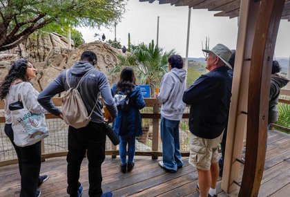 Seniors 65 and older will get free admission at the Safari Park in February