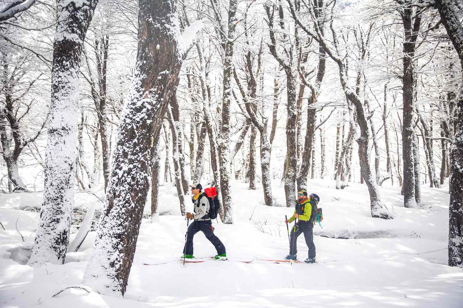 This National Park in Argentina Has Incredible Skiing—and You Can Stay in Cozy Huts Along the Way