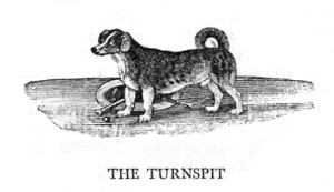 Hotbox: The Oven From Turnspit Dogs to Microwaves