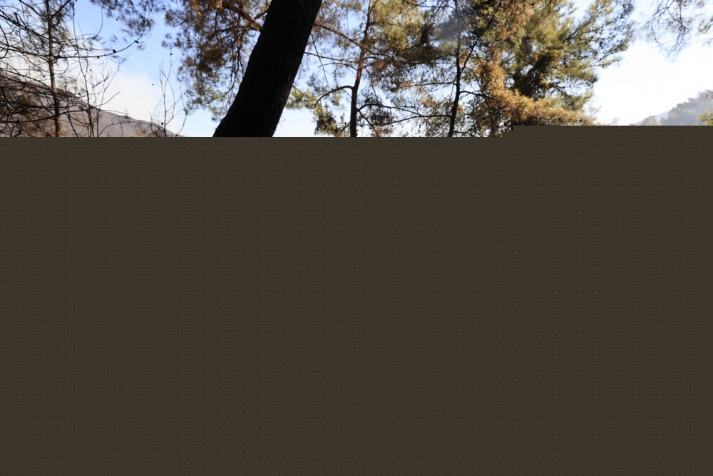 Šumski požari zahvatili šest turskih provincija, naređene evakuacije