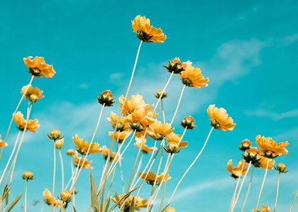 The Old Farmer’s Almanac Releases Spring 2026 Forecast For Iowa, Illinois