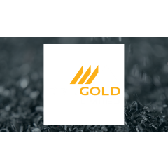 DRDGOLD (NYSE:DRD) Reaches New 52-Week High  – Still a Buy?