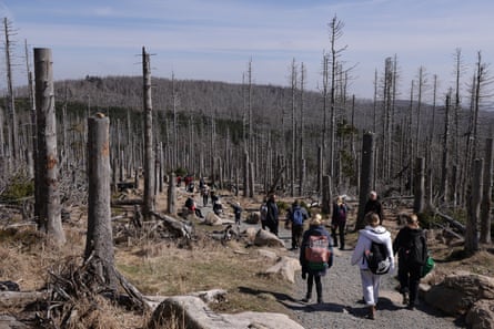 Environmental damage is putting European way of life at risk, says report