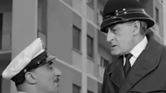 Commenti su Manfredonia, Polizia Locale sotto organico: “La sicurezza non si costruisce con gli straordinari” di Cittadino