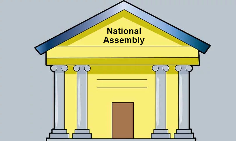 What National Assembly results reveal?