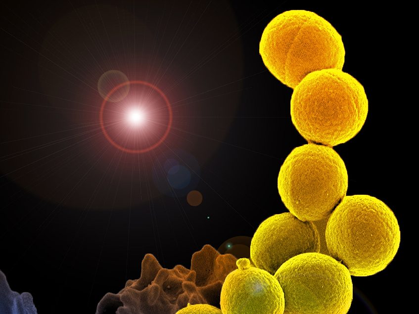 Acurx and Leiden University enter new antibiotic partnership