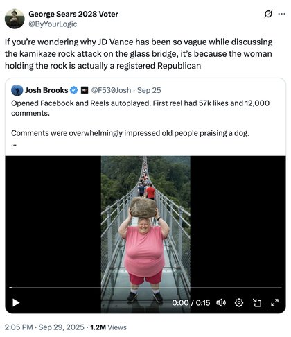 AI Lady With Rock Breaking Glass Bridge - If you’re wondering why JD Vance has been so vague while discussing the kamikaze rock attack on the glass bridge, it’s because the woman holding the rock is actually a registered Republican