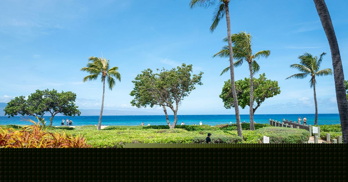 California family members claim they were attacked at luxury Maui resort during violent melee