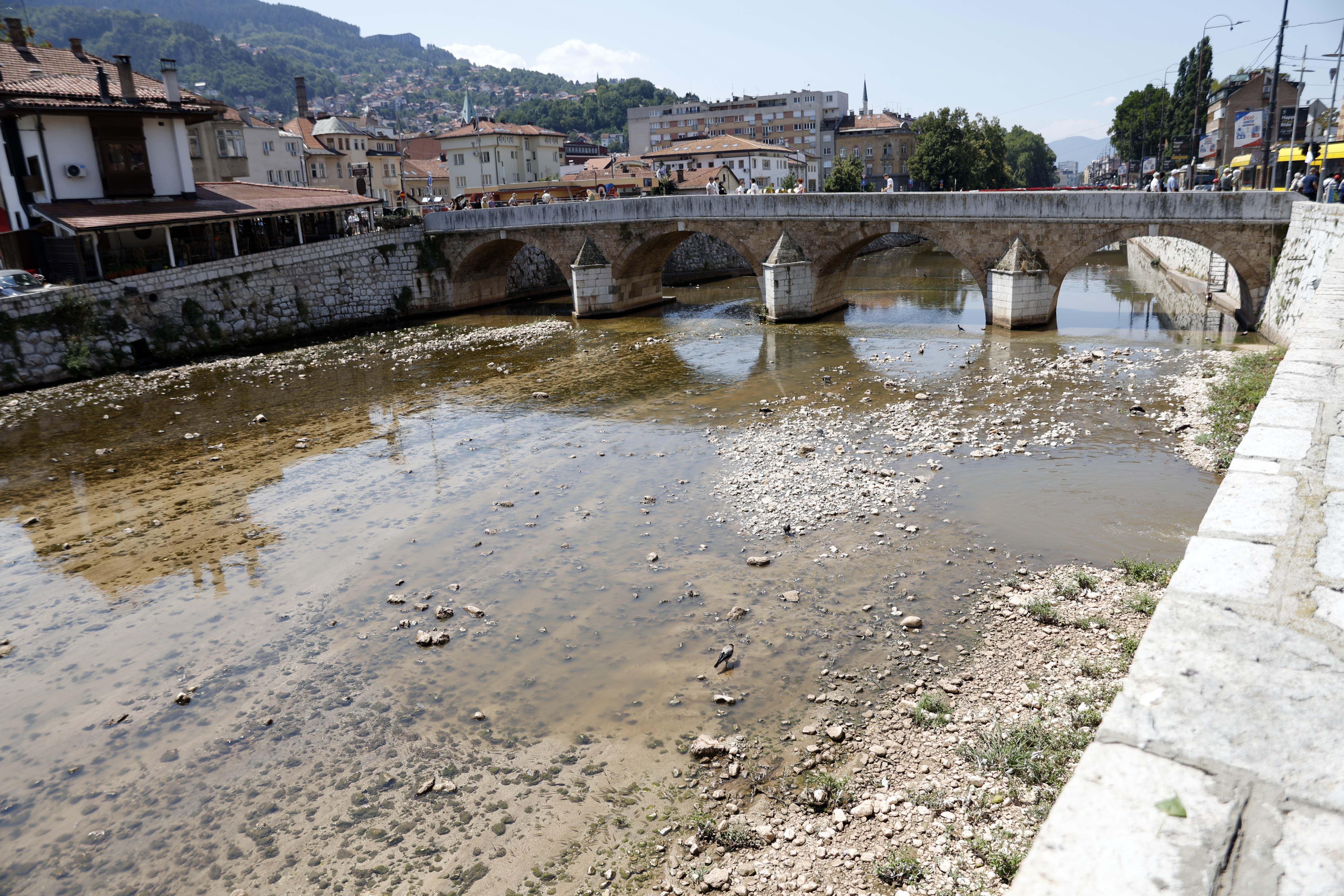 Experts warn: Low river levels and rising water temperatures threaten aquatic life