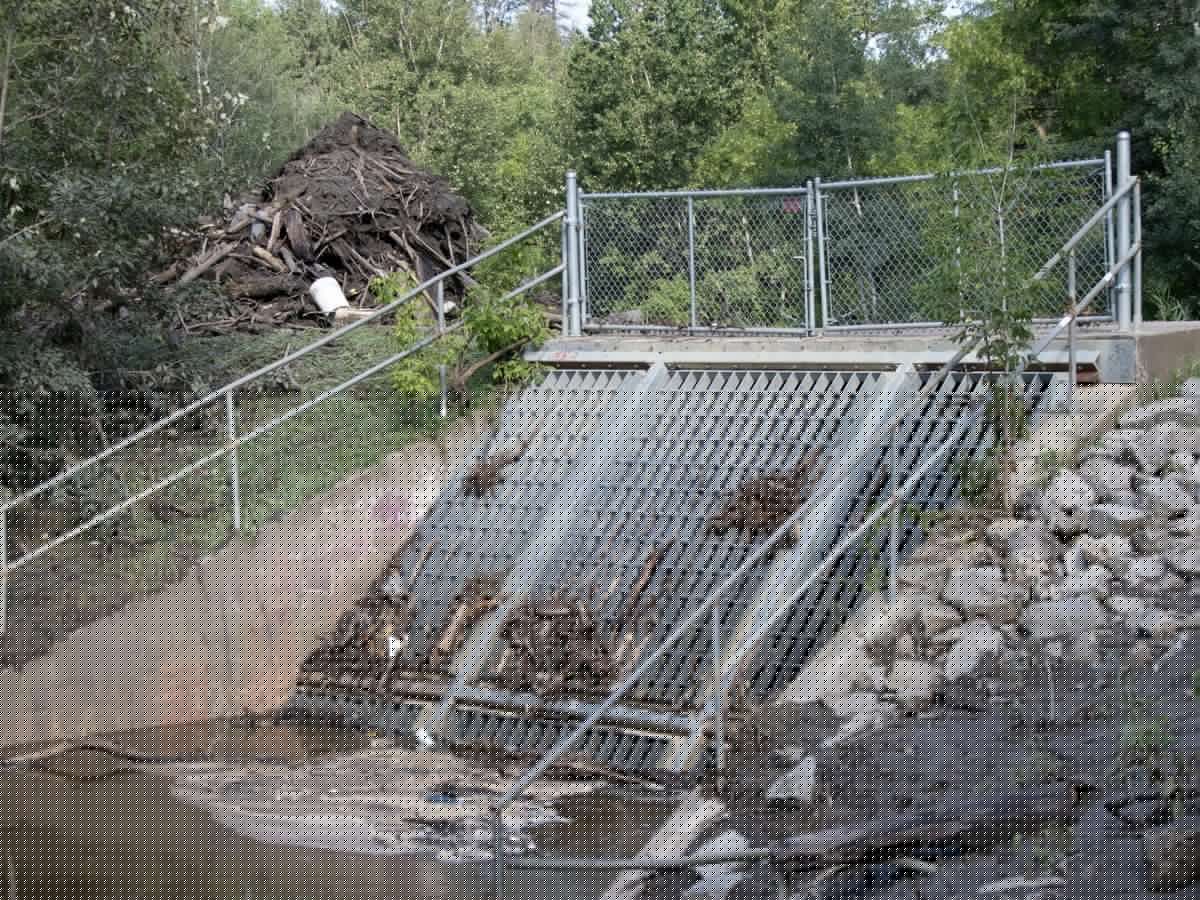 How is Edmonton managing its wettest summer in a century?