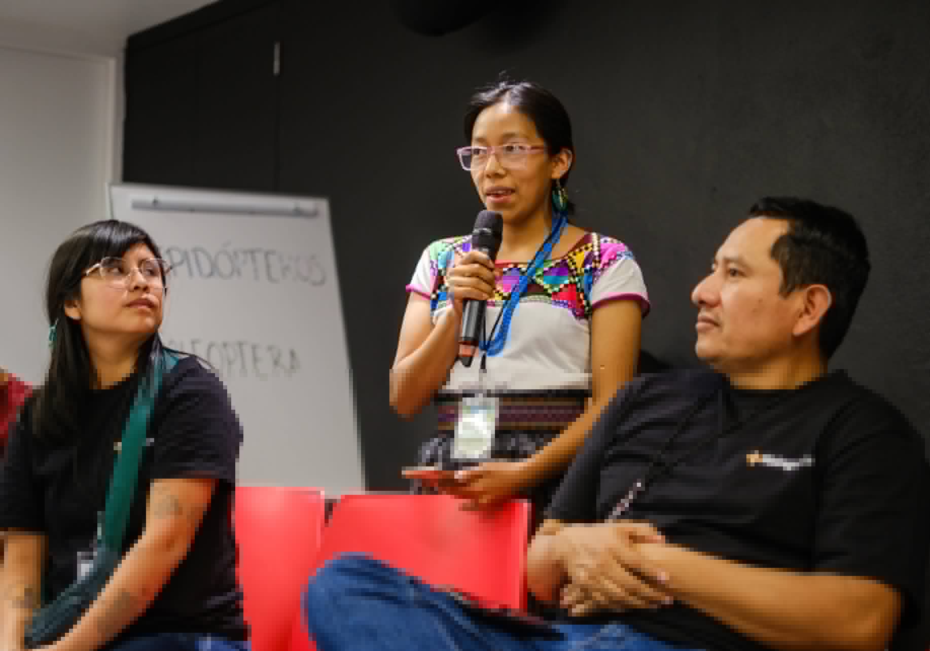 How Mexico’s Indigenous Digital Activists Are Shaping AI to Protect Language and Cultural Sovereignty