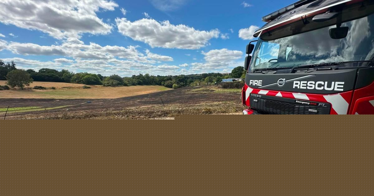 Somerset firefighters tackle 'fast-moving wildfire rapidly consuming grassland'