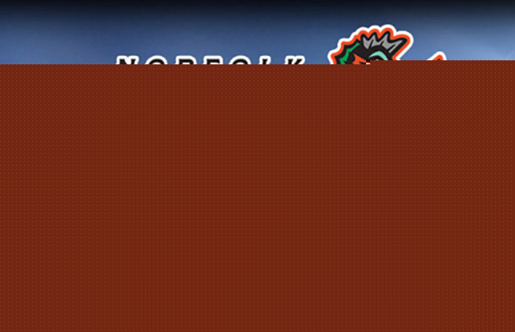 Win Tickets to Norfolk Tides