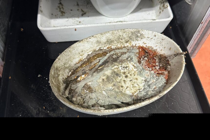 Maggots and cockroaches seen at airline catering facility, staff say