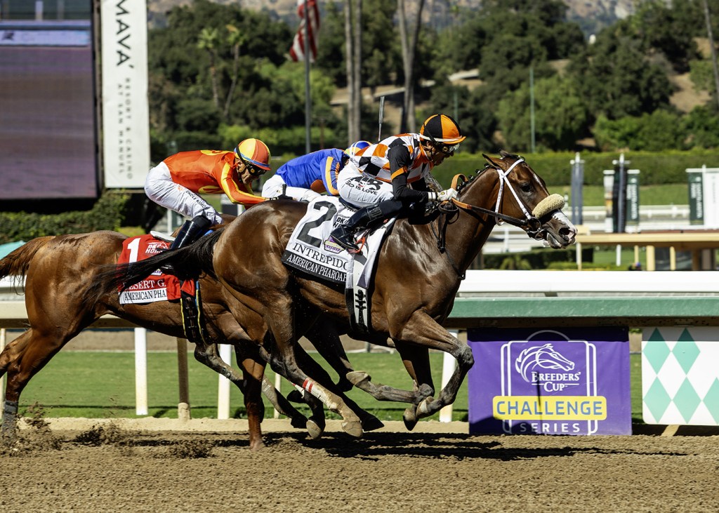 Intrepido beats traffic to win Breeders’ Cup qualifier at Santa Anita