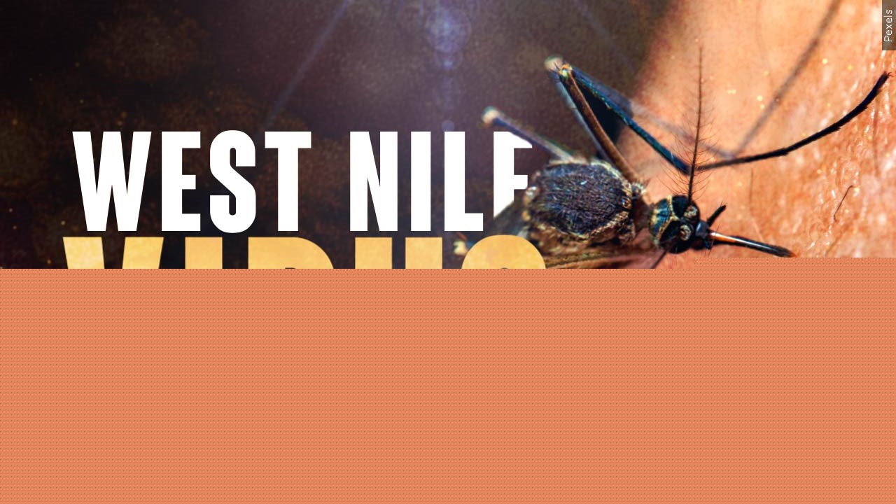 West Nile Virus found in St. Joseph County, health department gives tips to protect yourself