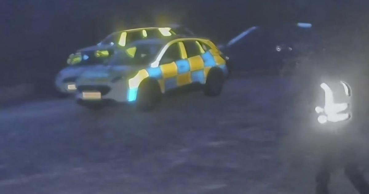 Two arrested after 'money stolen' from Lakeland Wildlife Oasis
