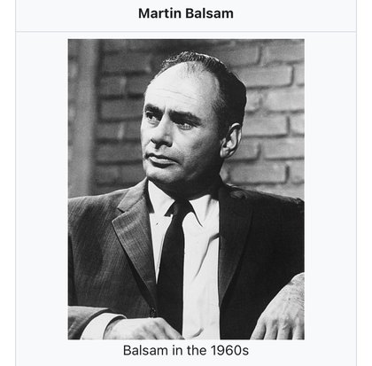 OkBuddyRetard - Today I learned that balsamic vinegar is named after its inventor, acting legend Martin Balsam. | /r/okbuddyretard