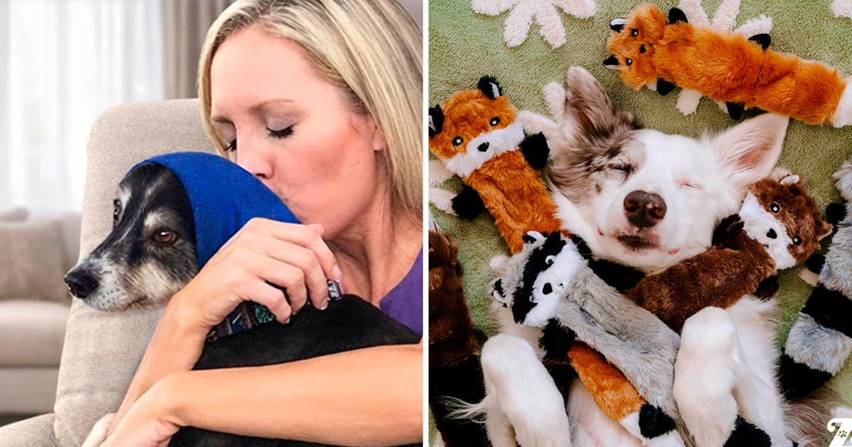 40 Weird Hacks That Make Your Dog Behave So Much Better