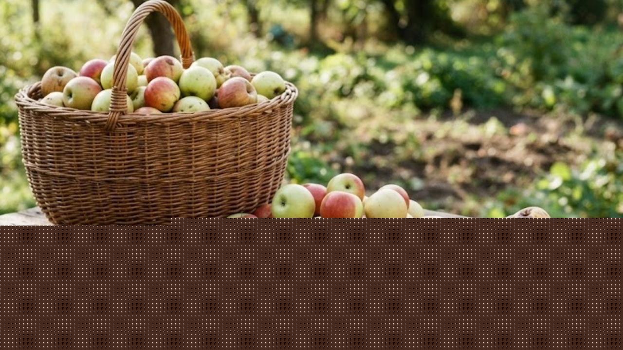 Windfall apples: turning a loss into a tasty gain
