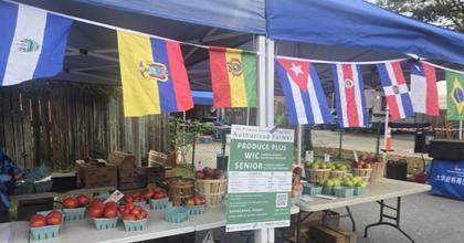 Fear of Immigration Arrests Curbs Area Shopping, Community Spirit