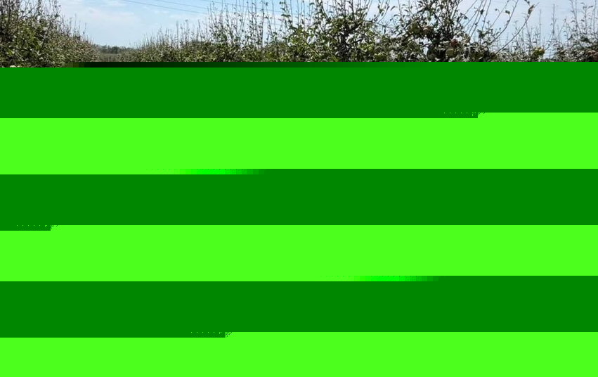 Muja premton rrjeta kundër breshrit dhe Qendër të Paralajmërimit të Hershëm për fermerët