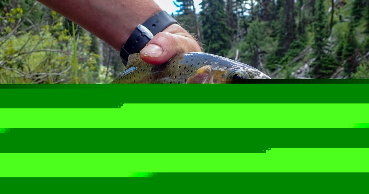 Yellowstone Park closes fishing on waterways during high heat of the day