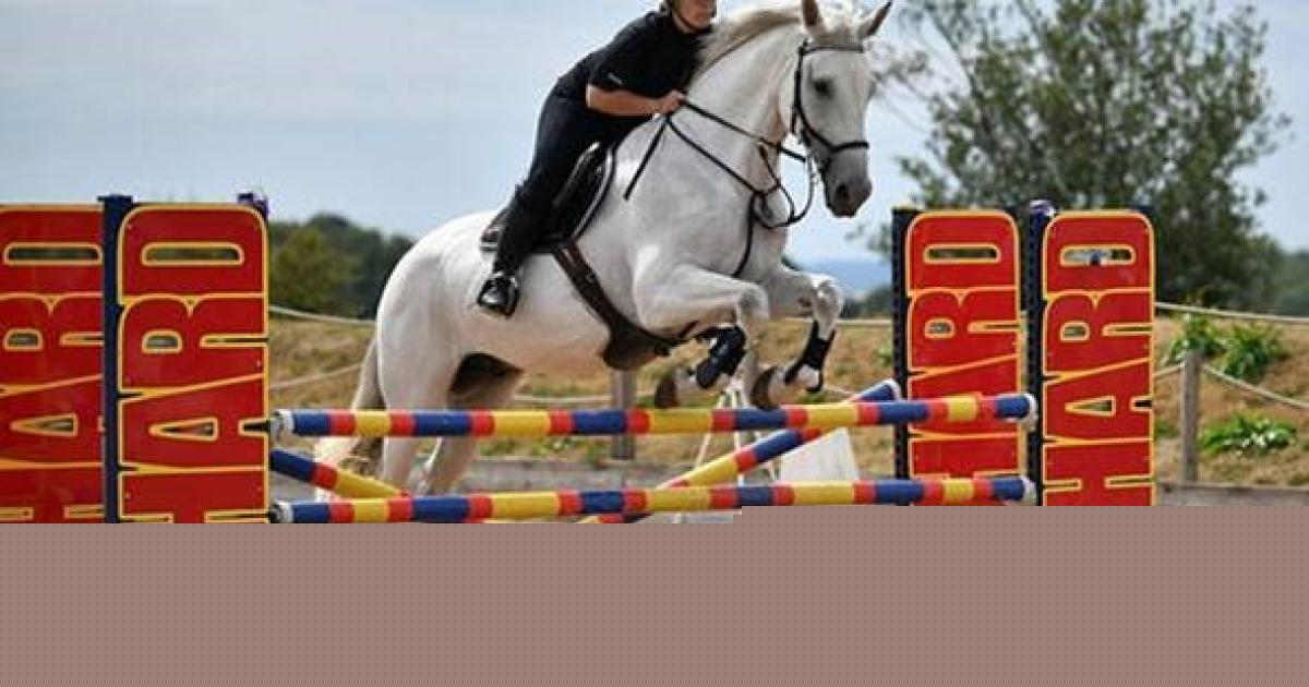 Police financial investigator wins show jumping titles