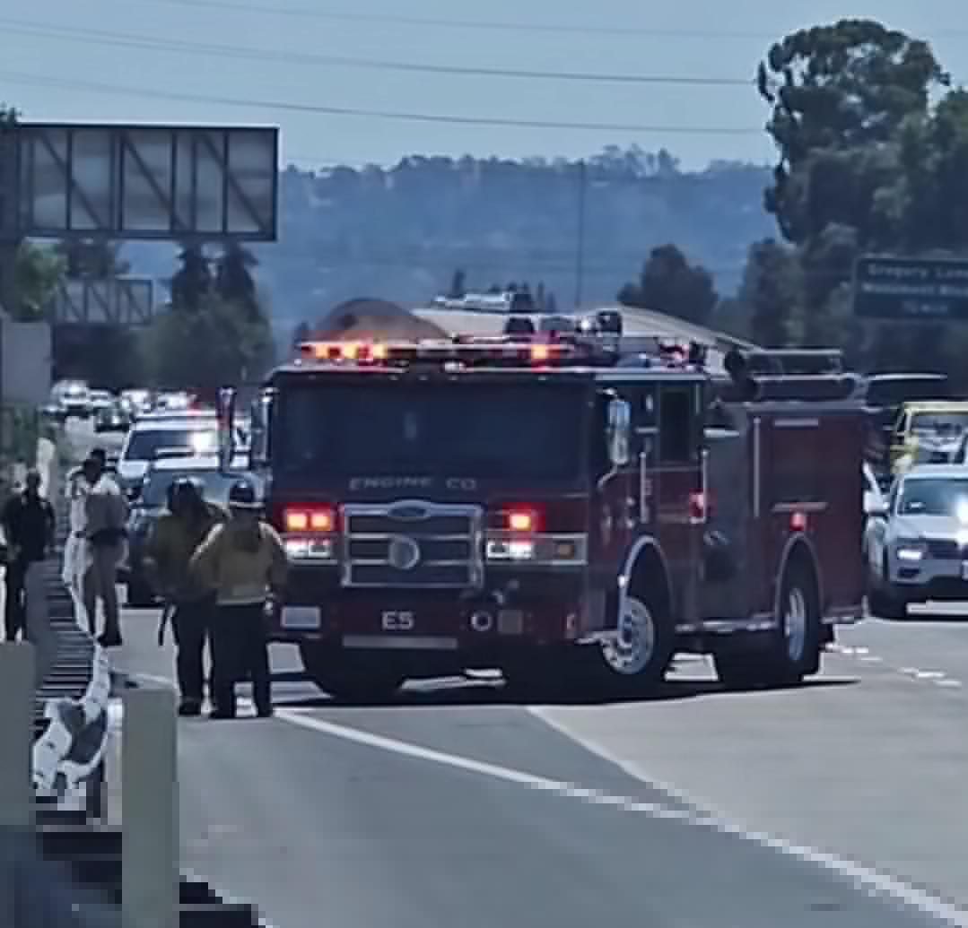 Comment on Another Vegetation Fire Extinguished Behind Smart Stop Storage In Concord by Original G