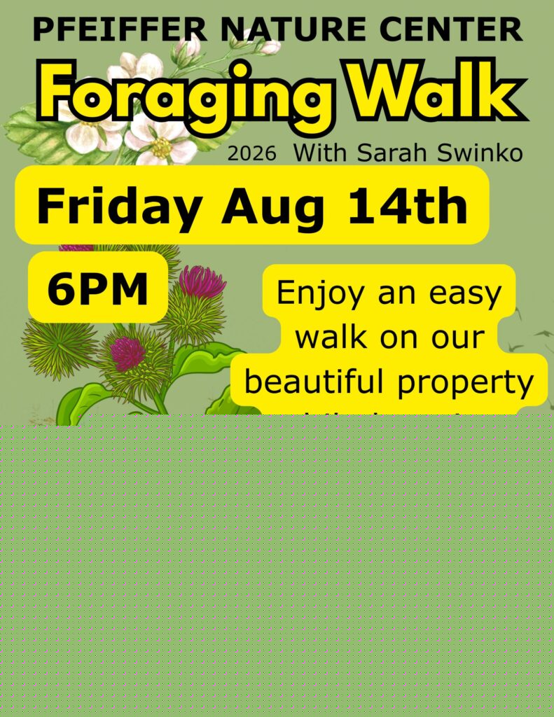 Foraging walk at Pfeiffer Nature Center
