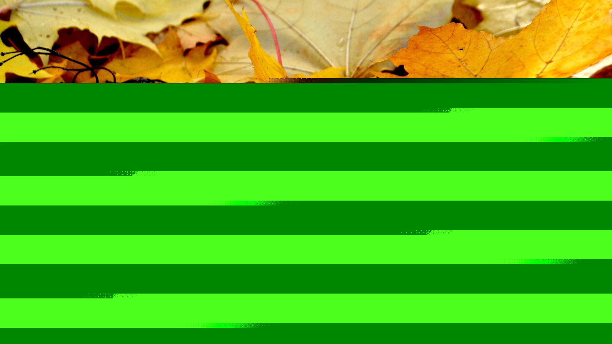 Que faire des feuilles mortes au jardin?