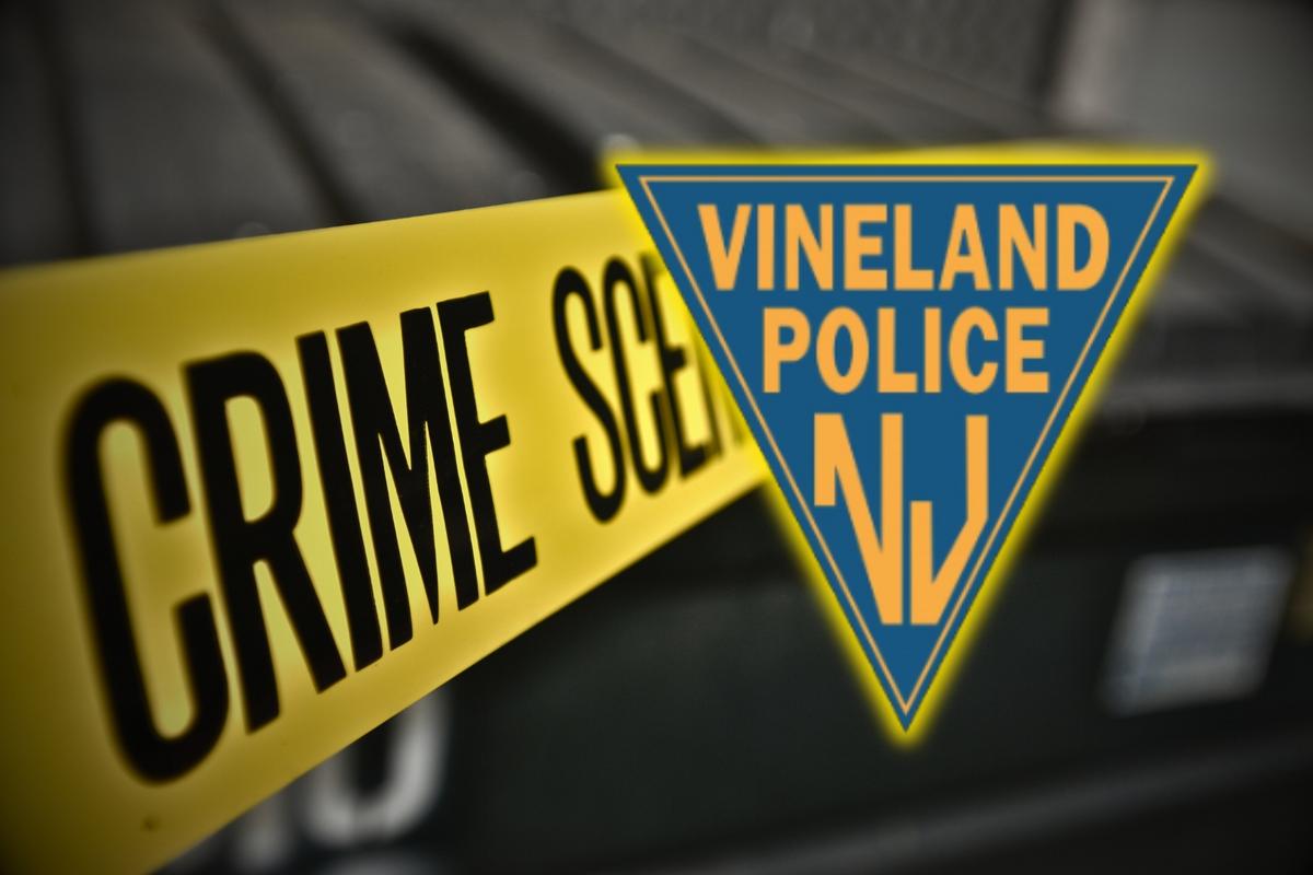 Vineland Teen Accused of Fatally Stabbing Woman Friday Morning
