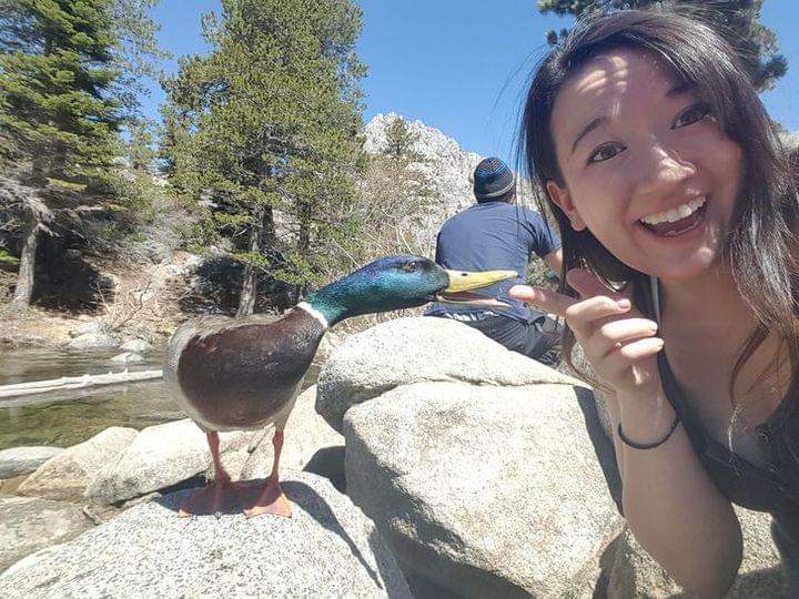 Perfectly Timed Photos - Duck bite
