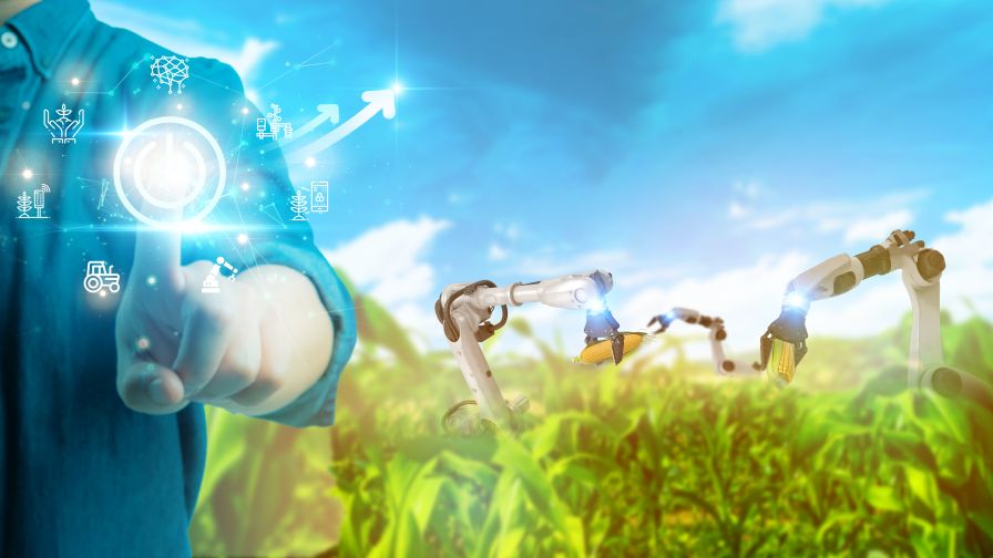 AI’s Reach in Agriculture Is Expanding, but So Are Concerns