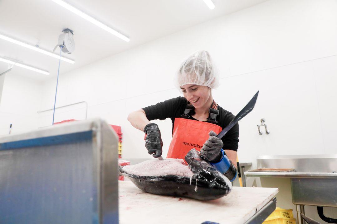 Lower Columbia-based tuna fishery flounders under high fuel prices: Landings, participation drastically down this season