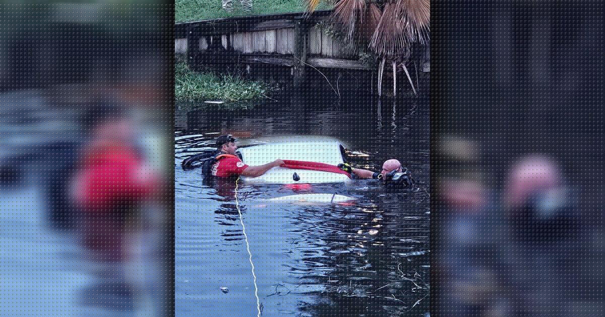 Clearwater pond crash: Officers smash window to rescue driver