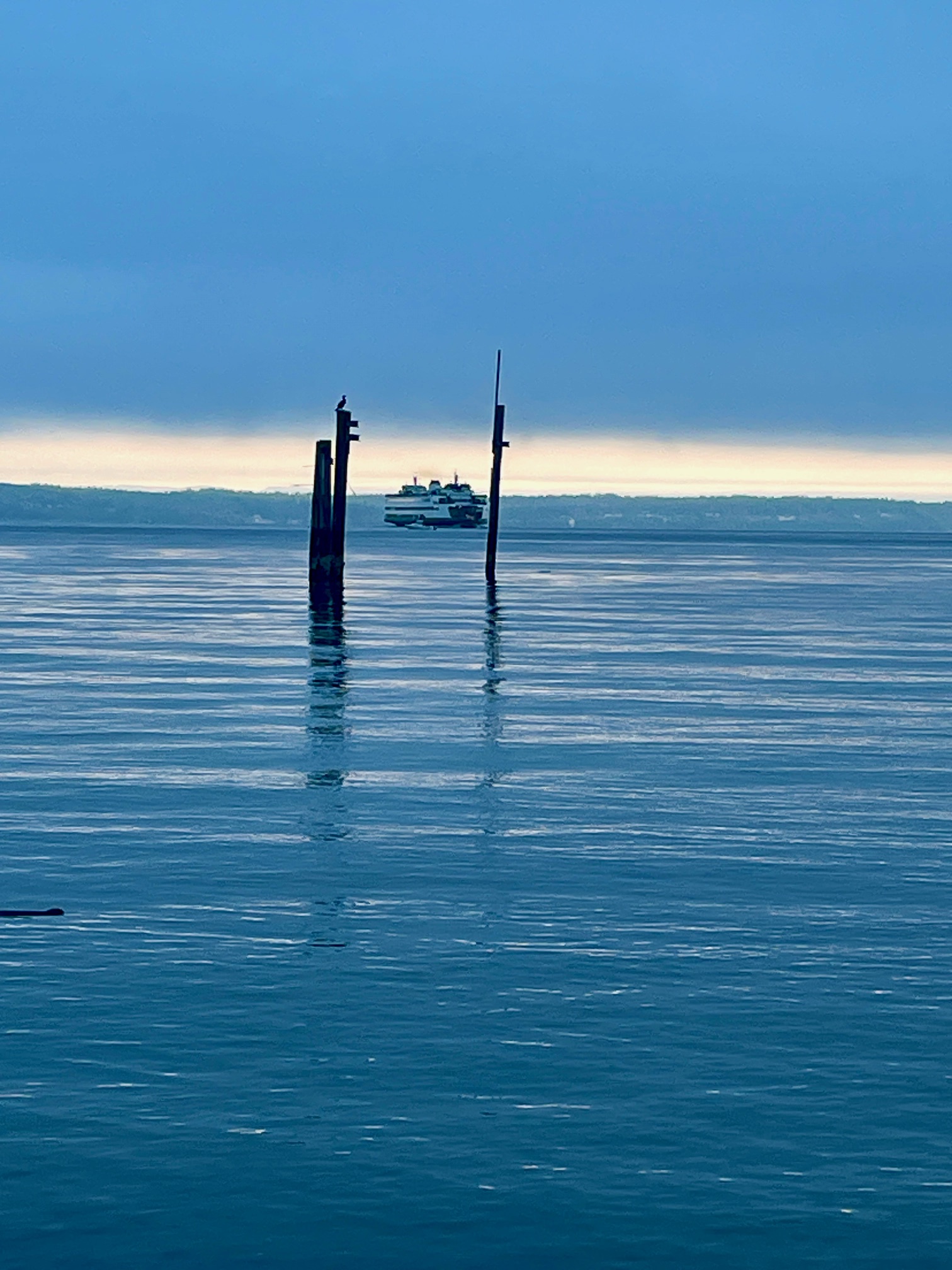 Comment on Scene in Edmonds: Around town Monday by Irene Billa