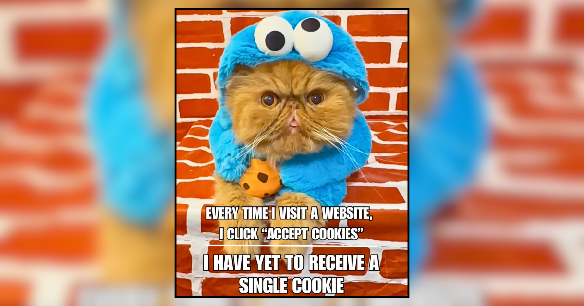 Giggle-worthy Cat Memes Bringing Us Back to Childhood Goodness