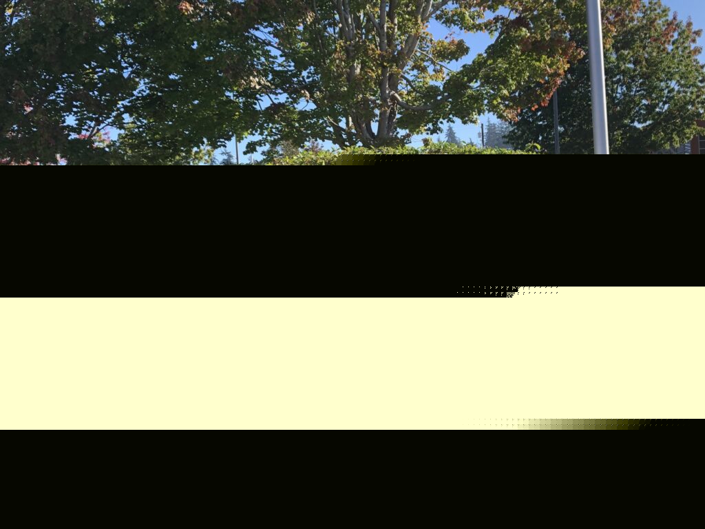Comment on Council to review tree code amendments, consider extending school zone speed cameras for 24/7 use by Nick Lopez