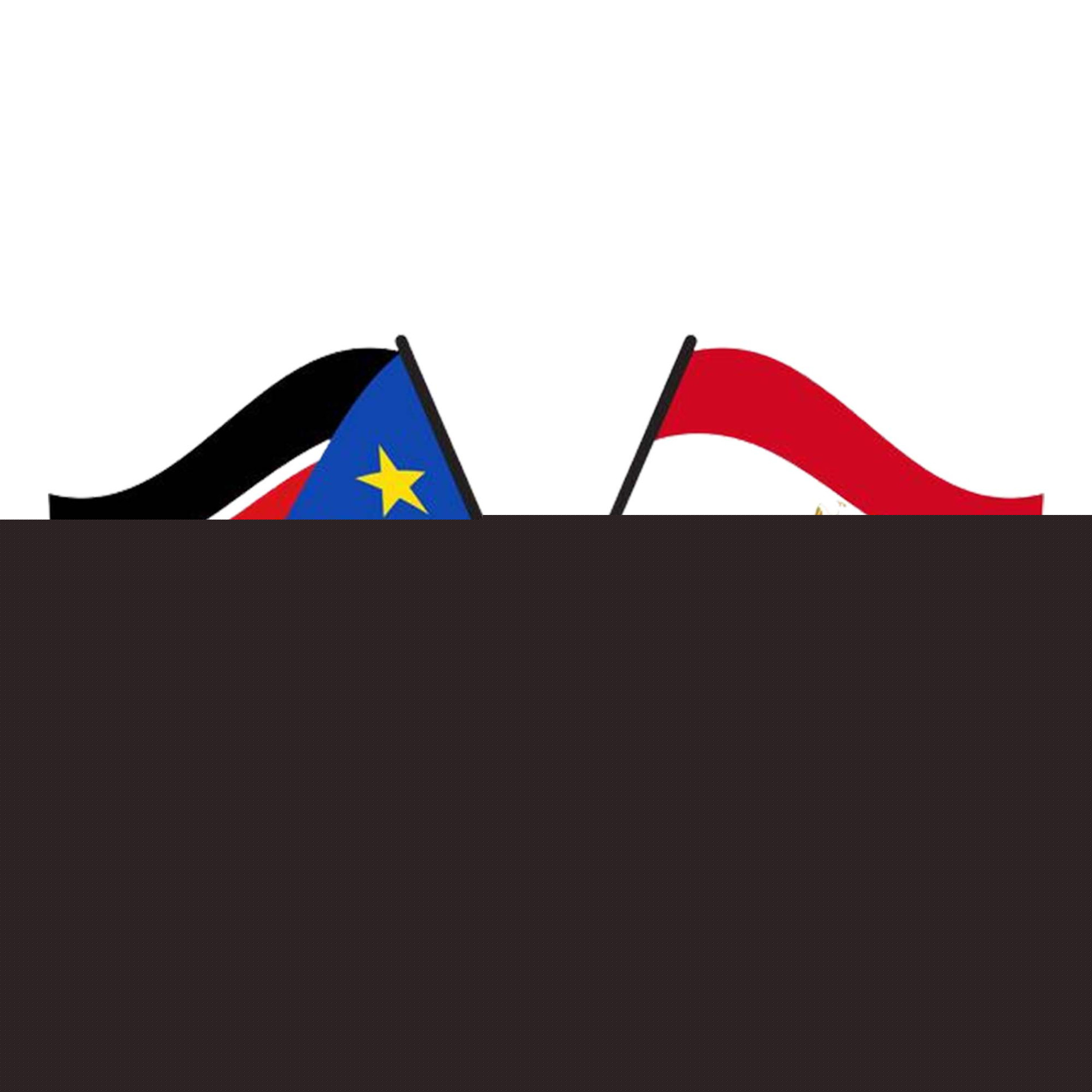 South Sudan to repatriate 20,000 vulnerable citizens from Egypt