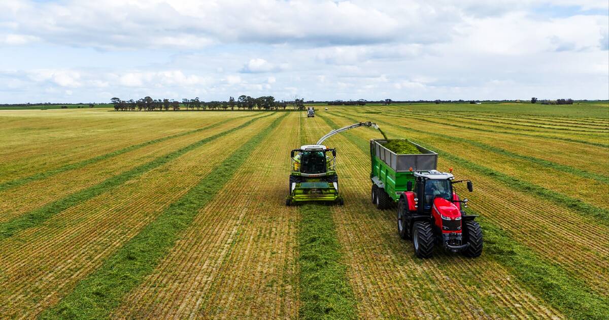 Global investors invited to bid for the giant Telopea Downs portfolio