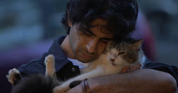 ‘Max, Min & Meowzaki’ review: A thoughtful journey of self-discovery and healing