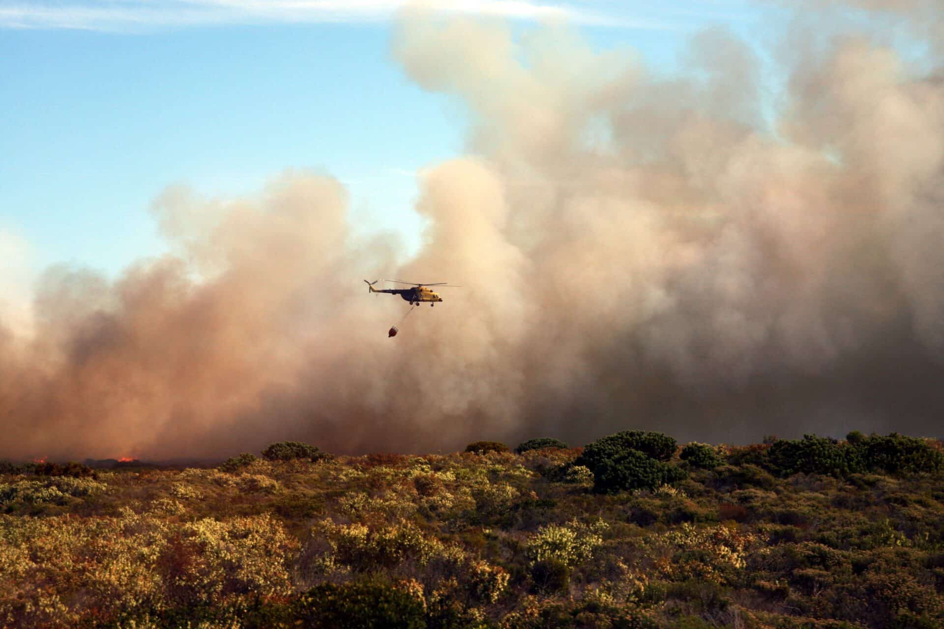 La Comunidad de Madrid actúa con negligencia ante la pérdida de biodiversidad provocada por los incendios