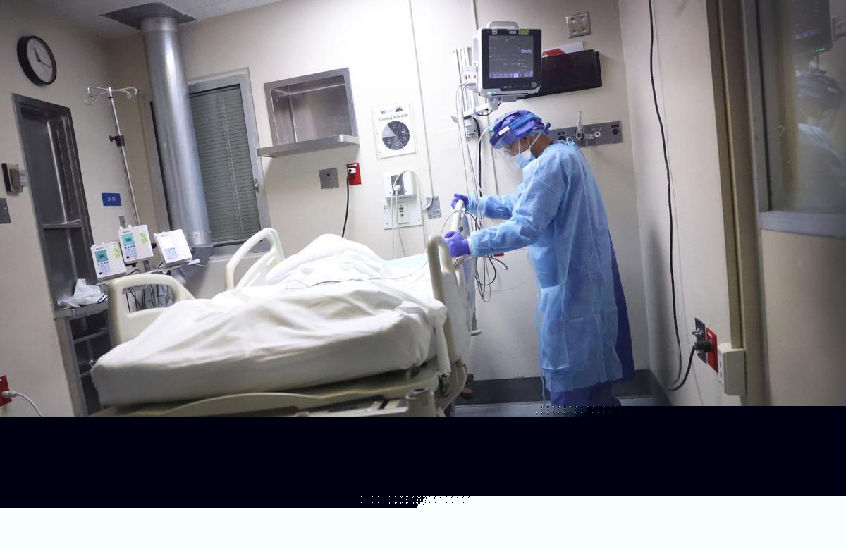 Illinois One Of Hardest Hit States In Different Fungus Infection